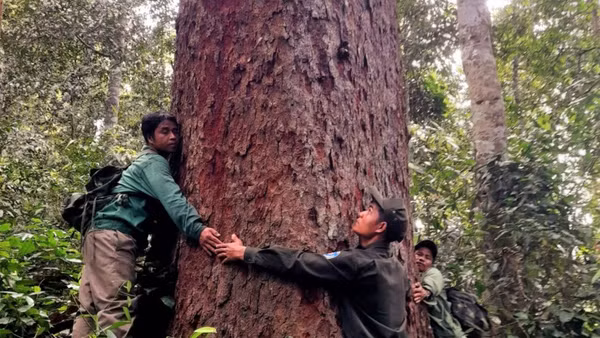 Lực lượng kiểm lâm cùng người dân địa phương khảo sát, bảo vệ rừng ở Tây Giang. Ảnh: ALăng Ngước