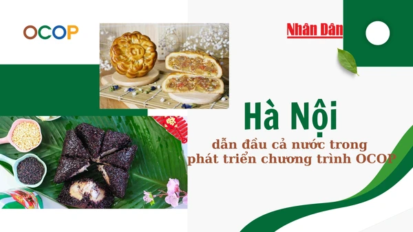[Infographic] Hà Nội dẫn đầu cả nước trong phát triển chương trình OCOP
