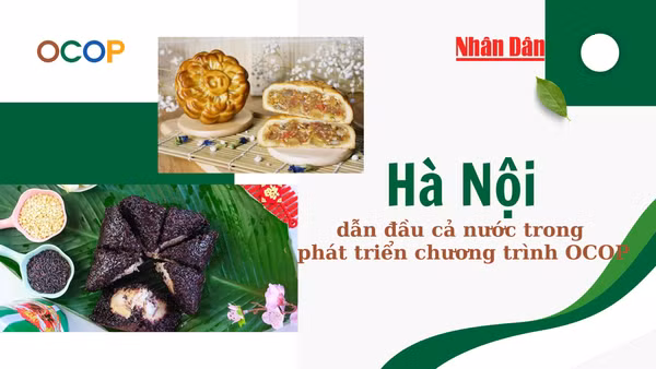 [Infographic] Hà Nội dẫn đầu cả nước trong phát triển chương trình OCOP
