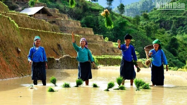 Trang phục truyền thống của dân tộc Nùng cả nước nói chung, cũng như dân tộc Nùng sinh sống ở Cao Bằng nói riêng chính là những bộ quần áo mang sắc chàm duyên dáng. (Ảnh: Thành Đạt)