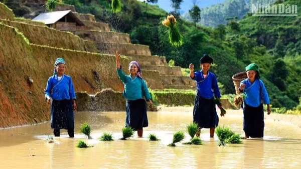 Trang phục truyền thống của dân tộc Nùng cả nước nói chung, cũng như dân tộc Nùng sinh sống ở Cao Bằng nói riêng chính là những bộ quần áo mang sắc chàm duyên dáng. (Ảnh: Thành Đạt)