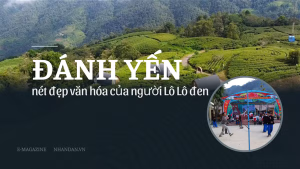 Đánh yến - Nét đẹp văn hóa của người Lô Lô đen
