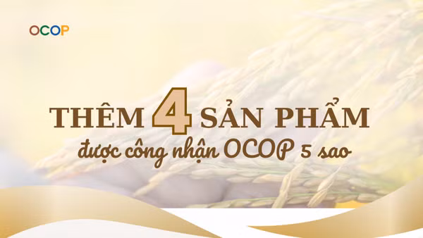 [Infographic] Thêm 4 sản phẩm được công nhận OCOP 5 sao