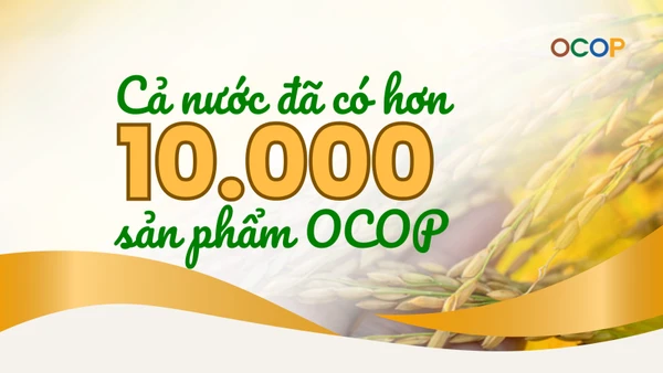 [Infographic] Cả nước đã có hơn 10 nghìn sản phẩm OCOP 