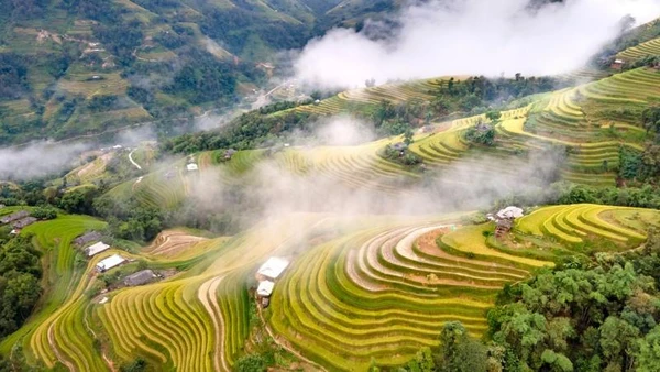 Kiệt tác ruộng bậc thang Hoàng Su Phì. (Ảnh: Tổng cục Du lịch)