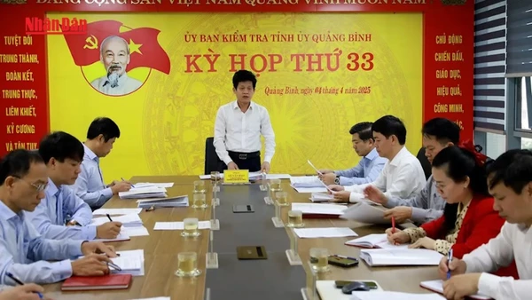 [Video] Kỷ luật nhiều tổ chức Đảng và đảng viên liên quan đến sai phạm trong dự án cây xanh