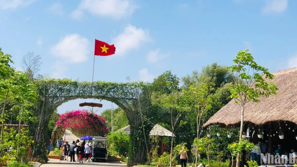 Nhiều du khách rất thích thú trải nghiệm du lịch tại công trình điện gió Hòa Bình-Bạc Liêu. 