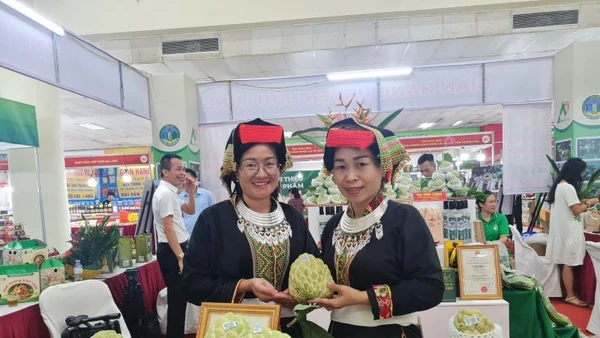 Gian hàng quảng bá, giới thiệu na Chi Lăng - sản vật bậc nhất xứ Lạng từ vách núi đá vôi và các nông đặc sản, sản phẩm OCOP tỉnh Lạng Sơn.