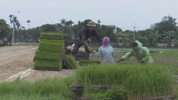 Lựa chọn các mô hình hợp tác xã, liên hiệp hợp tác xã hoạt động hiệu quả để nhân rộng. (Ảnh: Báo Nhân Dân)
