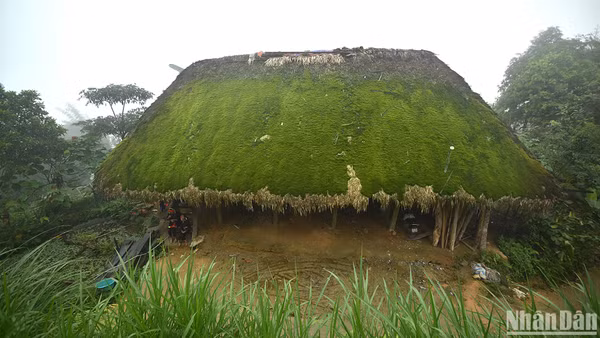 Những mái nhà phủ rêu ở thôn Khuổi Mỹ, xã Phương Độ, thành phố Hà Giang. (Ảnh: VŨ LINH) 