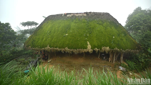 Những mái nhà phủ rêu ở thôn Khuổi Mỹ, xã Phương Độ, thành phố Hà Giang. (Ảnh: VŨ LINH) 