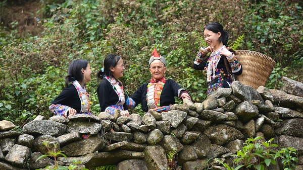 Người Dao đỏ ở xã Mồ Sì San, huyện Phong Thổ, tỉnh Lai Châu. (Ảnh: VŨ LINH)