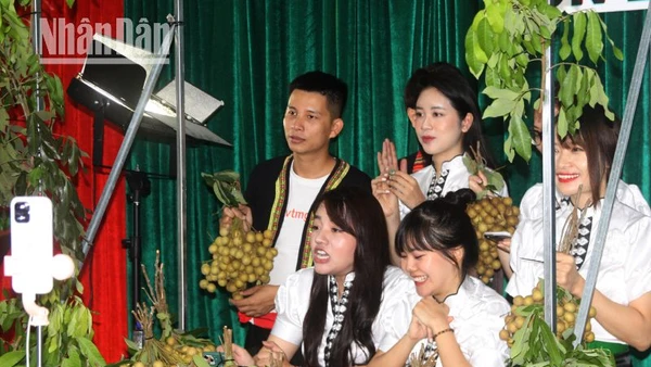 Các tiktoker livestream chợ phiên OCOP Sơn La về miền nông sản thu hút hơn 500 nghìn lượt xem.