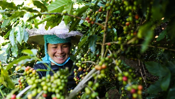 Aratay Coffee: Gắn sao cho sản phẩm OCOP bằng “sự tử tế”