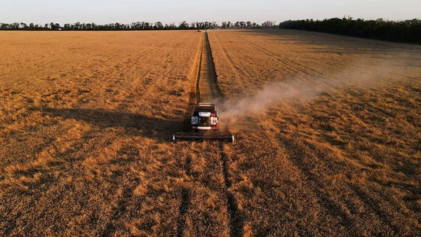 Ảnh minh họa. Nguồn: Reuters