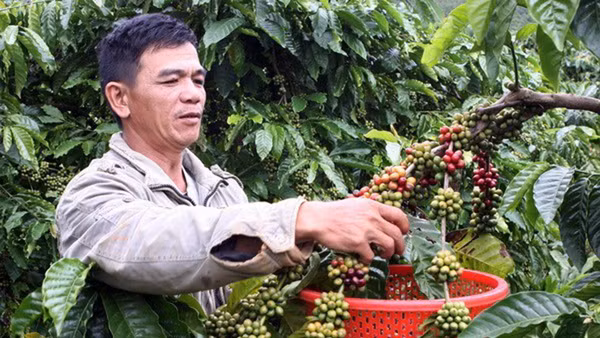 Ảnh minh họa: TTXVN