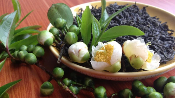 Chè Shanam - Kết tinh hương vị đất trời 