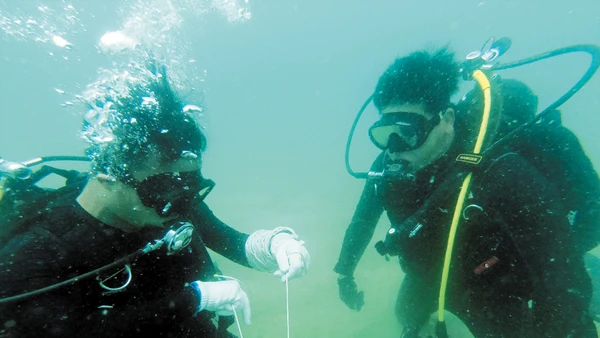 Đặc công người nhái huấn luyện