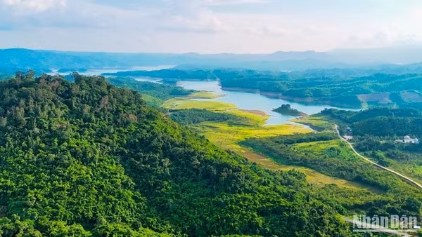 Vườn Quốc gia Tà Đùng có tổng diện tích tự nhiên khoảng 21.000ha, nằm trên khu vực giáp ranh giữa hai tỉnh Đắk Nông và Lâm Đồng.