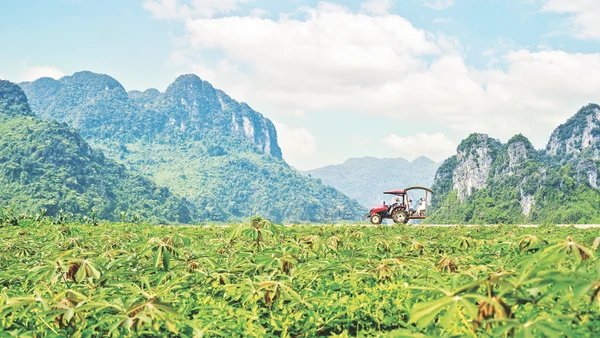Thúc đẩy phát triển du lịch xanh,bền vững