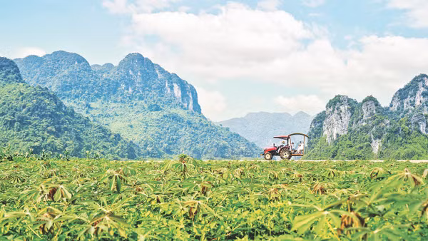 Thúc đẩy phát triển du lịch xanh,bền vững