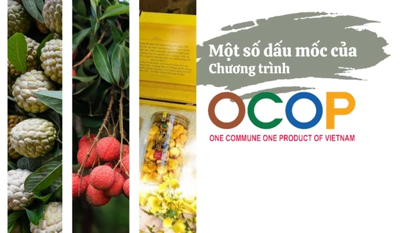 [Infographic] Một số dấu mốc của Chương trình OCOP tại Việt Nam 