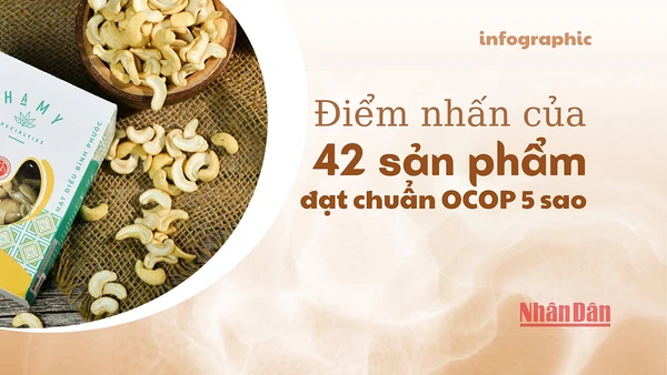 [Infographic] Điểm nhấn của 42 sản phẩm đạt chuẩn OCOP 5 sao
