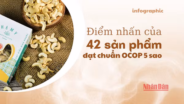 [Infographic] Điểm nhấn của 42 sản phẩm đạt chuẩn OCOP 5 sao