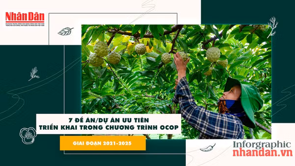 [Infographic] 7 đề án/dự án ưu tiên triển khai trong Chương trình OCOP giai đoạn 2021-2025 