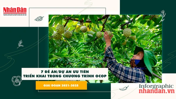 [Infographic] 7 đề án/dự án ưu tiên triển khai trong Chương trình OCOP giai đoạn 2021-2025 
