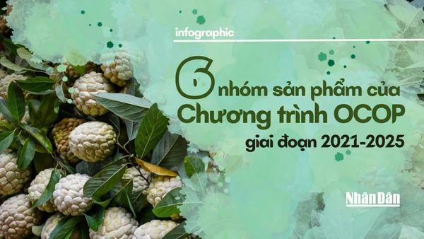 [Infographic] 6 nhóm sản phẩm của Chương trình OCOP giai đoạn 2021-2025 