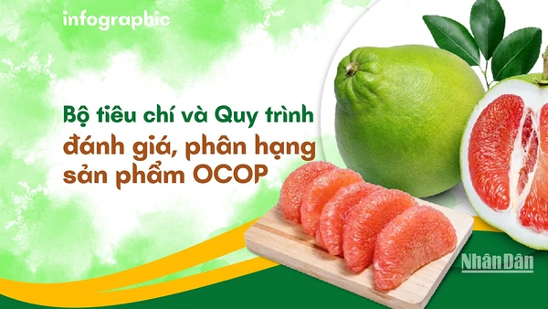 [Infographic] Bộ tiêu chí và Quy trình đánh giá, phân hạng sản phẩm OCOP 