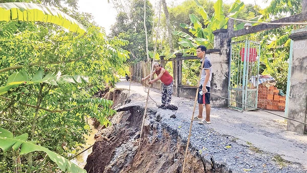 Vụ sạt lở bờ sông xảy ra vào ngày 6/4/2025, tại ấp Hòa Định, xã Tân Hòa, huyện Lai Vung, tỉnh Đồng Tháp với chiều dài khoảng 50 m, ăn sâu vào đường lộ khoảng 0,5 m.