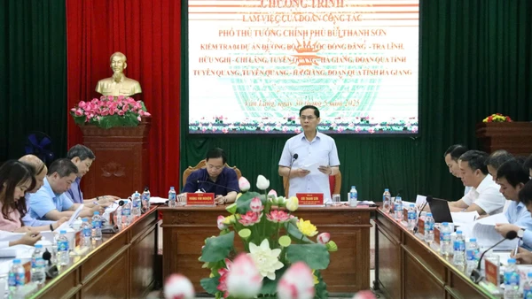 Phó Thủ tướng Chính phủ Bùi Thanh Sơn chỉ đạo tại buổi làm việc.