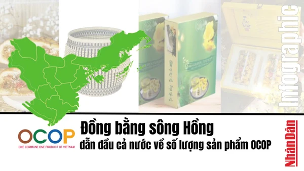 [Infographic] Đồng bằng sông Hồng dẫn đầu cả nước về số lượng sản phẩm OCOP