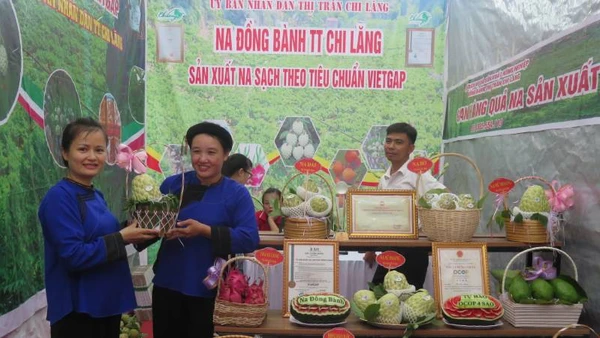 Sản phẩm quả na Chi Lăng (huyện Chi Lăng) được trưng bày tại Chương trình quảng bá, tiêu thụ na. 