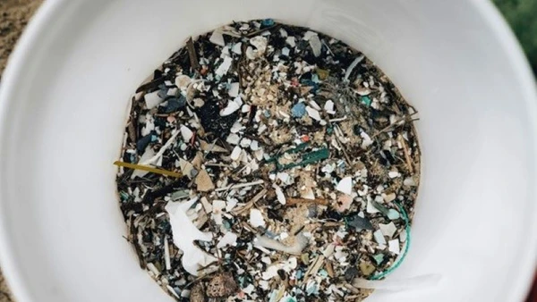 Vi nhựa (những mảnh nhựa siêu nhỏ) đã xâm nhập vào các hệ sinh thái môi trường, thậm chí là cơ thể con người. 