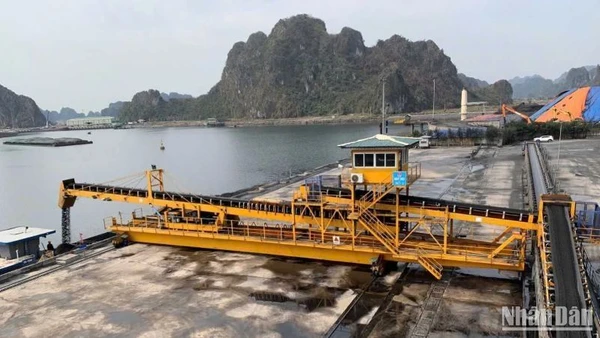 Trong quý I, ngành than đã sản xuất 10,5 triệu tấn than nguyên khai, sản xuất 10,05 triệu tấn than sạch; tiêu thụ 12,71 triệu tấn than; trong đó, than cung ứng cho sản xuất điện đạt 10,8 triệu tấn.