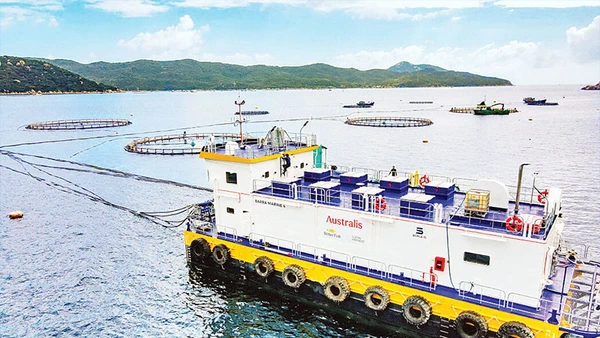 Hệ thống cho ăn tự động trong nuôi thủy sản của Công ty TNHH Thủy sản Australis Việt Nam. (Ảnh Minh Anh)