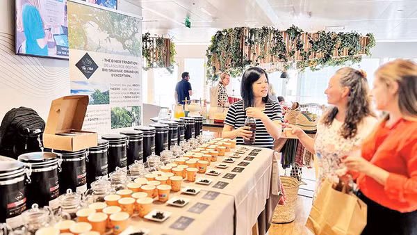 Huyền Montreau giới thiệu trà shan cổ thụ Việt Nam tại Pháp.