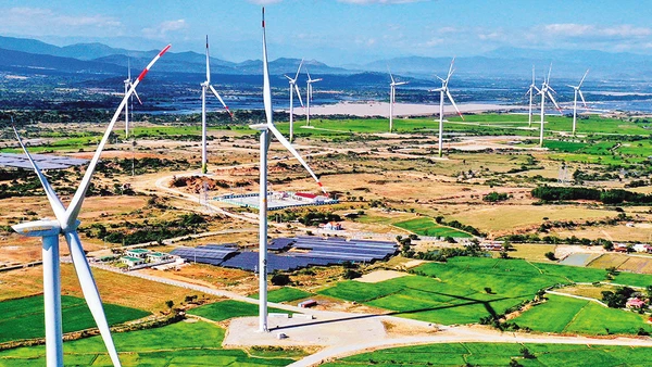 “Cánh đồng” điện gió tại tỉnh Ninh Thuận. (Ảnh: Ngọc Hà)