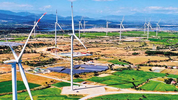 “Cánh đồng” điện gió tại tỉnh Ninh Thuận. (Ảnh: Ngọc Hà)