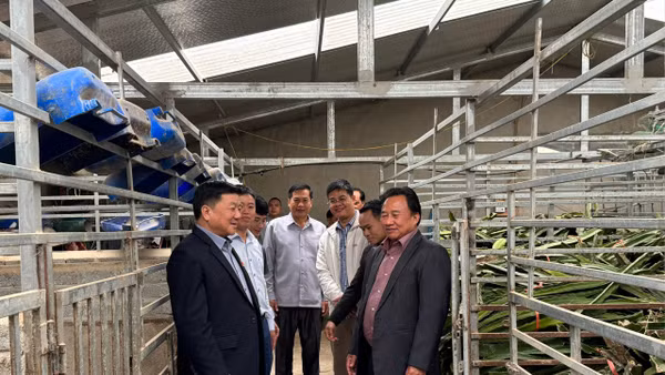 Đồng chí Lò VĂn Phương (đầu tiên bên trái) Chủ tịch Hội đồng nhân dân tỉnh Điện Biên cùng đoàn đại biểu hội đồng nhân dân các tỉnh bắc Lào thăm mô hình nuôi hươu sao tại huyện Điện Biên.