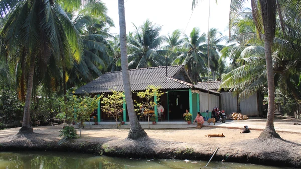 Cảnh Xuân trước nhà. Ảnh trong bài | Nguyễn Sự