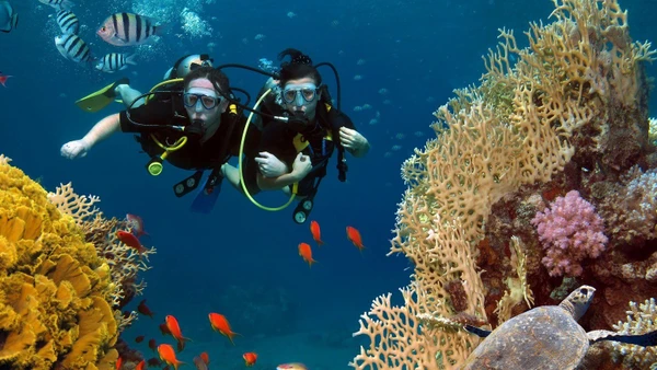 Vừa dọn sạch môi trường biển vừa được lặn biển Côn Đảo. Nguồn: condao.com.vn