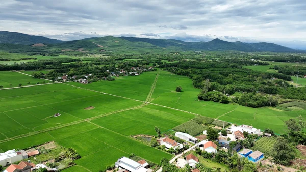 Quảng Nam phát triển ngành nông nghiệp theo hướng bền vững. (Ảnh: LÊ ANH QUÂN)