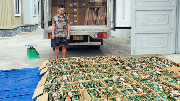 Hơn 5 tấn chân gà rút xương đông lạnh không rõ nguồn gốc của hộ kinh doanh Đ.V.T bị phát hiện, thu giữ.