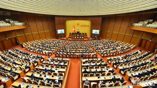 [Infographic] Các cơ quan của Quốc hội khóa XV 