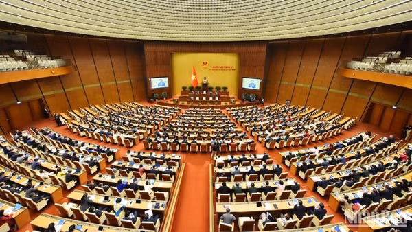 [Infographic] Các cơ quan của Quốc hội khóa XV 