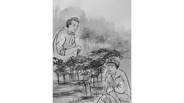 Minh họa Thu Hà